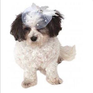 🐾🐾Dog Formal Wedding Hat  NWT